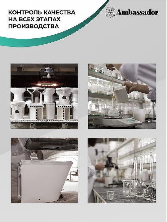 Унитаз Ambassador Ritz 233K19004RS подвесной с сиденьем Микролифт