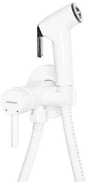 Гигиенический душ со смесителем Wisent WG5398W-2 цвет Белый