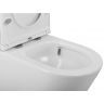 Унитаз компакт BelBagno Flay-Tor BB2149CP-TOR/BB2149T/BB2031SC с бачком и сиденьем Микролифт