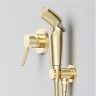 Гигиенический душ со смесителем AM.PM X-Joy S F40H85B99 цвет Золото Гигиенический душ со смесителем AM.PM X-Joy S F40H85B99 цвет Золото
