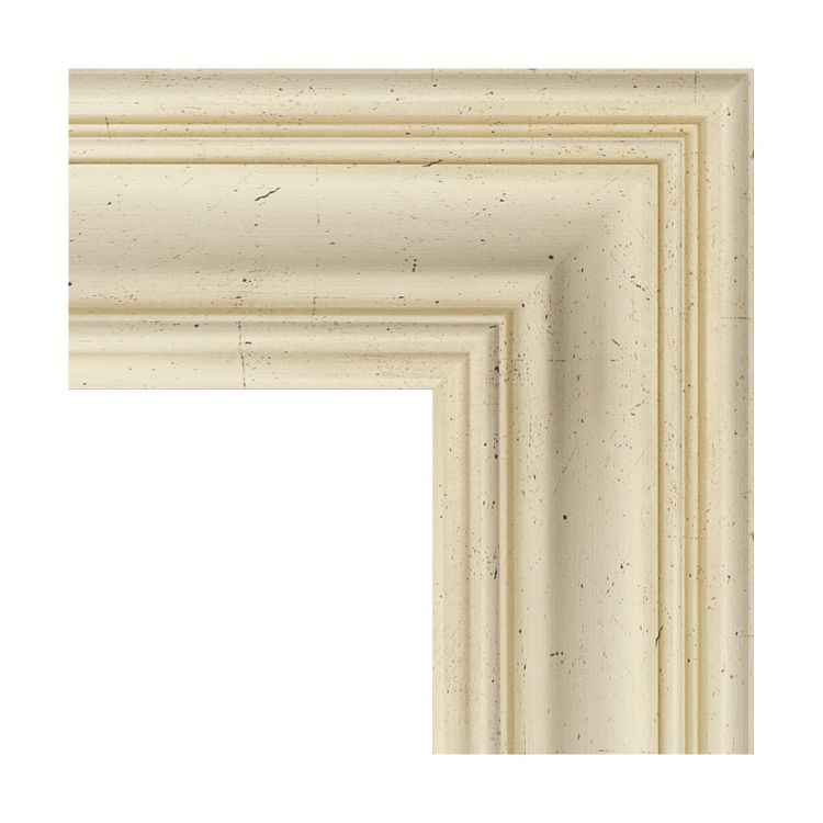 Зеркало EVOFORM  DEFENITE BY 3284 82x102 травленое серебро 99 мм в багетной раме Зеркало EVOFORM  DEFENITE BY 3284 82x102 травленое серебро 99 мм в багетной раме