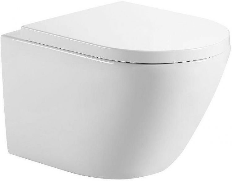 Унитаз Aquanet ZV-2 303978 подвесной с сиденьем Микролифт