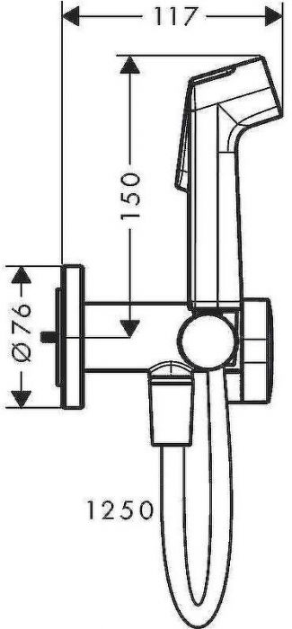 Гигиенический душ со смесителем Hansgrohe Bidette 29232000 Хром