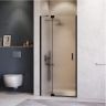 Душевая дверь RGW Hotel HO-014-B 110 350601411-24 профиль Черный стекло матовое