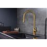 Смеситель для кухни Paulmark Universal Un213880-BG Брашированное золото
