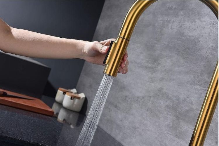 Смеситель для кухни Paulmark Universal Un213880-BG Брашированное золото