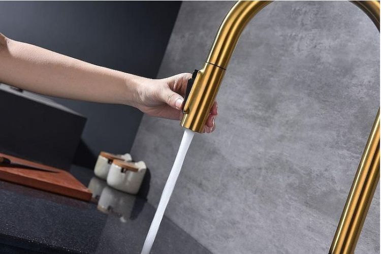 Смеситель для кухни Paulmark Universal Un213880-BG Брашированное золото