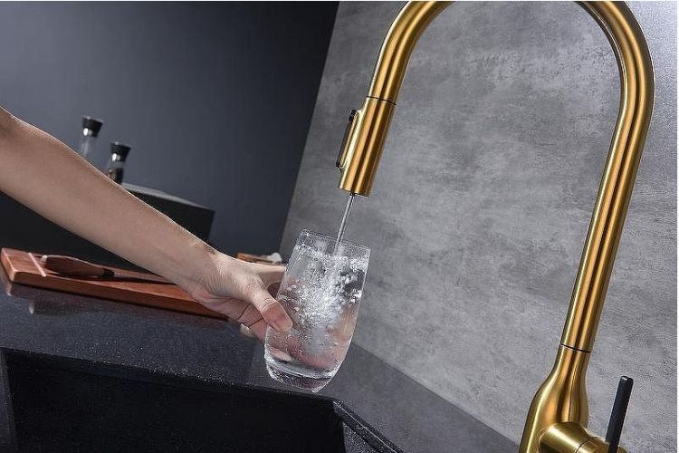 Смеситель для кухни Paulmark Universal Un213880-BG Брашированное золото