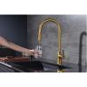 Смеситель для кухни Paulmark Universal Un213880-BG Брашированное золото