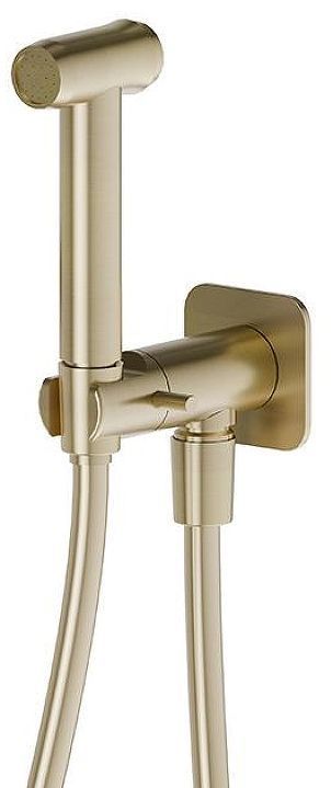 Гигиенический душ с запорным вентилем Newform X-Steel 316 69644X.59.098 цвет Pale Gold