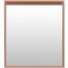 Зеркало Allen Brau Priority 70 1.31014.60 с подсветкой Медь браш