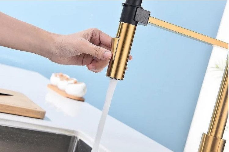 Смеситель для кухни Paulmark Halt Ha214021-BG Брашированное золото Смеситель для кухни Paulmark Halt Ha214021-BG Брашированное золото