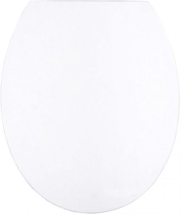 Сиденье для унитаза Ridder Memphis О2217101 Белое с Микролифтом