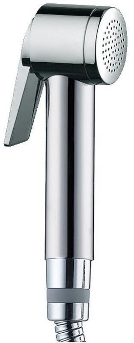 Гигиенический душ Bossini Paloma Flat B00462.030 Хром