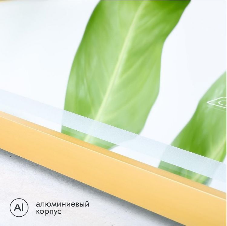 Зеркало Fixsen FX-2100G 80 с подсветкой цвет Золото-сатин с сенсорным выключателем и диммером Зеркало Fixsen FX-2100G 80 с подсветкой цвет Золото-сатин с сенсорным выключателем и диммером