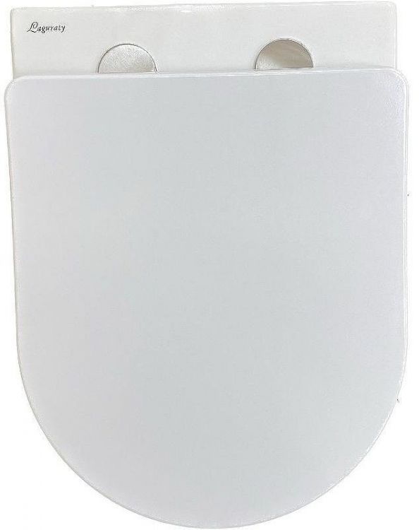 Унитаз биде Laguraty 038BW подвесной с сиденьем Микролифт