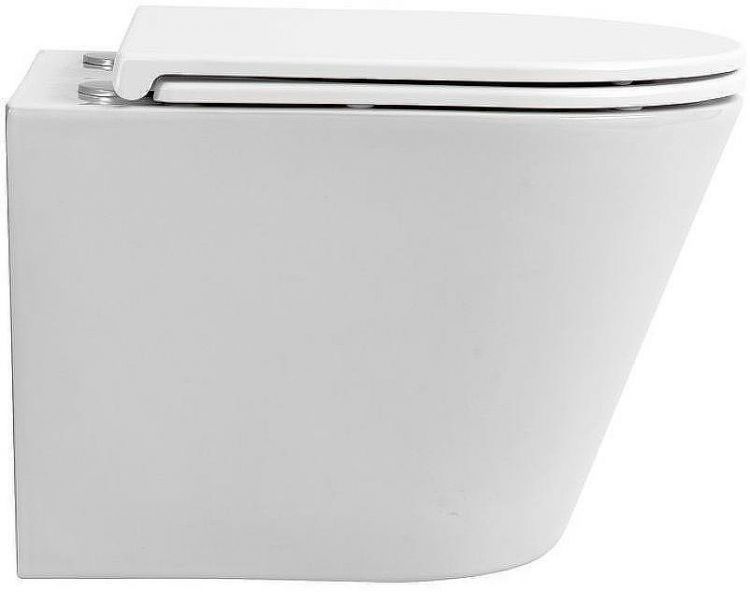 Унитаз Sintesi Essler SIN-TS-SLR-181 подвесной Белый с сиденьем Микролифт