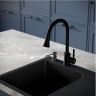 Смеситель для кухни Ростовская Мануфактура Сантехники SUS123TBL-016F цвет Черный