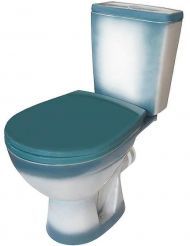 Унитаз компакт Rosa Соло 4640021065778 Зеленый декор с бачком и сиденьем
