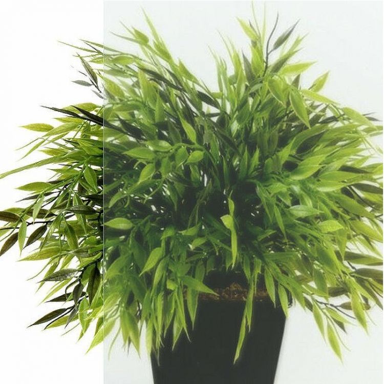 Душевой уголок Triton Вента-Хром 80х80 Щ0000057861 профиль Хром стекло прозрачное Душевой уголок Triton Вента-Хром 80х80 Щ0000057861 профиль Хром стекло прозрачное