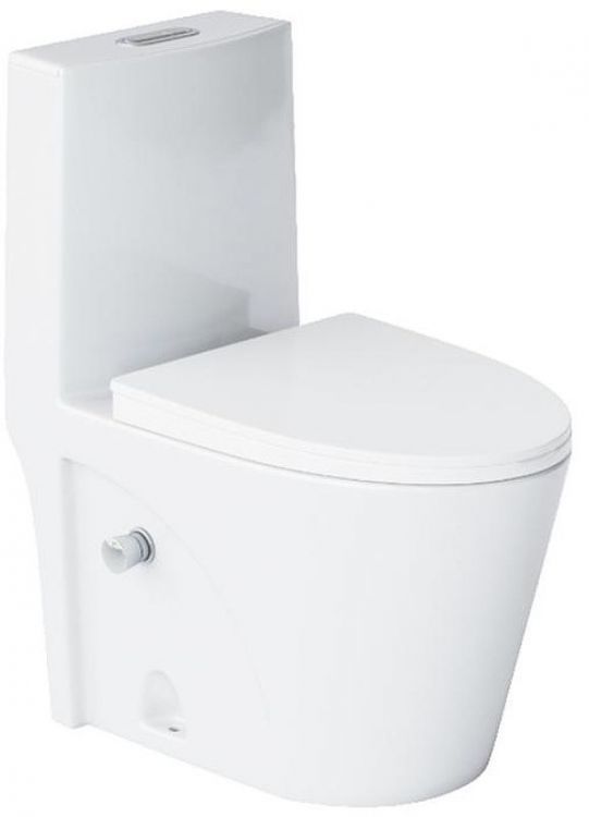 Унитаз моноблок Laguraty 2100AWC с бидеткой с бачком и сиденьем Микролифт