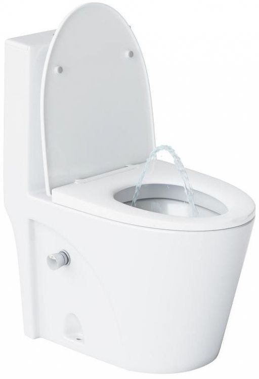 Унитаз моноблок Laguraty 2100AWC с бидеткой с бачком и сиденьем Микролифт