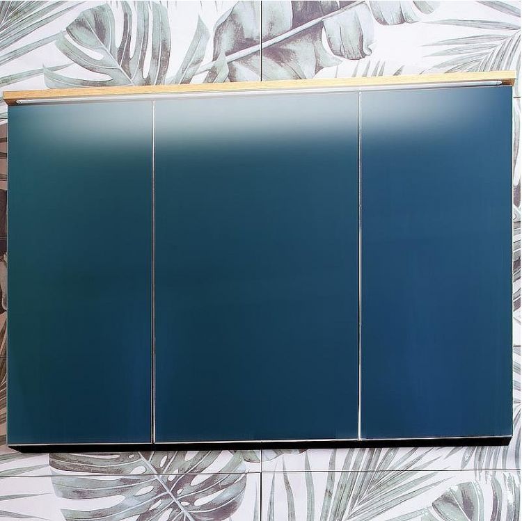 Зеркальный шкаф Бриклаер Форест 100 4627125414725 с подсветкой Дуб золотой Антрацит