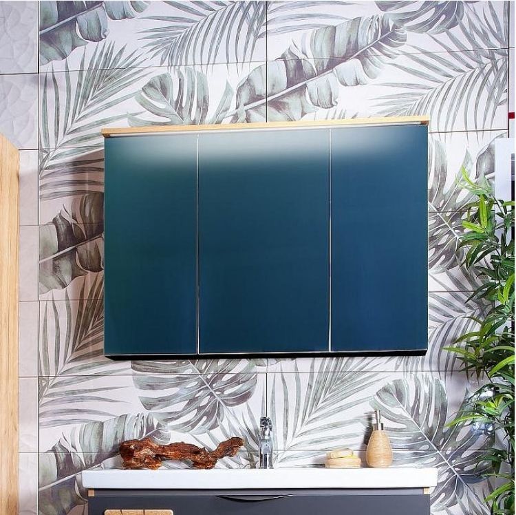 Зеркальный шкаф Бриклаер Форест 100 4627125414725 с подсветкой Дуб золотой Антрацит