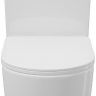 Унитаз компакт Aqueduto Ovo AQDSOVO10 с бачком и сиденьем Микролифт