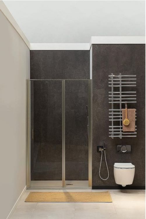 Душевая дверь Allen Brau Priority 160 3.31038.BA профиль Серебро браш стекло прозрачное