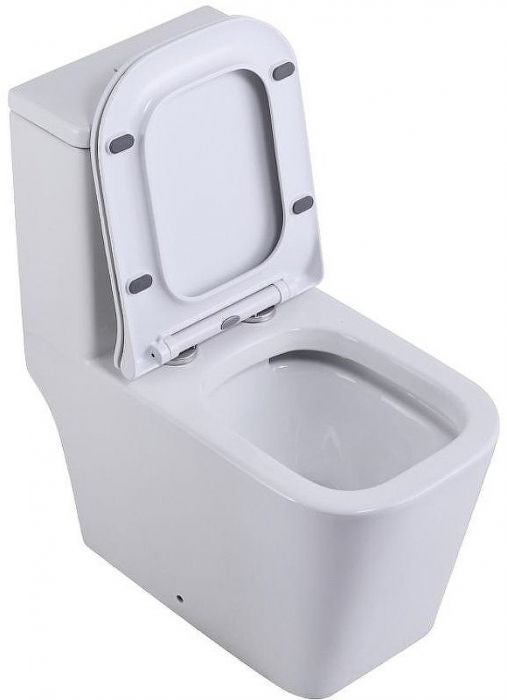 Унитаз моноблок SantiLine SL-5024 с бачком и сиденьем Микролифт