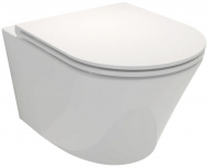 Унитаз подвесной Jacob Delafon Rodin+ EDY102-00, белый