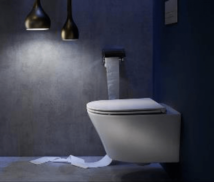 Унитаз подвесной Jacob Delafon Rodin+ EDY102-00, белый