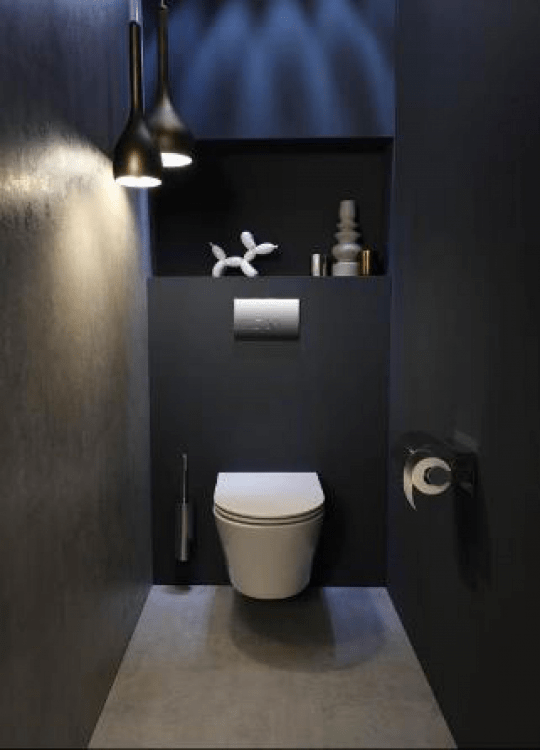 Унитаз подвесной Jacob Delafon Rodin+ EDY102-00, белый