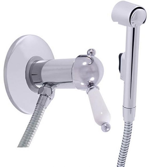 Гигиенический душ со смесителем Rav Slezak Labe L547 Хром