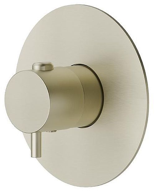 Смеситель для душа Newform X-Steel 316 67670EX.59.098 с термостатом цвет Pale Gold