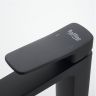 Смеситель для раковины Raffine F0199H цвет Черный Смеситель для раковины Raffine F0199H цвет Черный