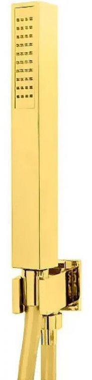 Душевой гарнитур Webert AC1045010 Золото