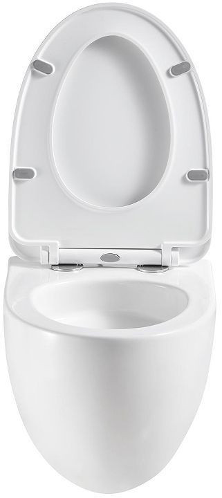 Унитаз Terminus Енисей Monolit 05W56х39W подвесной с сиденьем Микролифт цвет Белый Унитаз Terminus Енисей Monolit 05W56х39W подвесной с сиденьем Микролифт цвет Белый