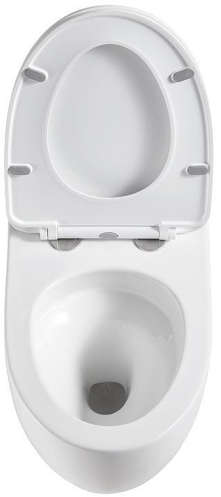 Унитаз Terminus Енисей Monolit 05W56х39W подвесной с сиденьем Микролифт цвет Белый Унитаз Terminus Енисей Monolit 05W56х39W подвесной с сиденьем Микролифт цвет Белый