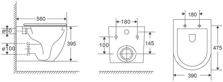 Унитаз Terminus Енисей Monolit 05W56х39W подвесной с сиденьем Микролифт цвет Белый Унитаз Terminus Енисей Monolit 05W56х39W подвесной с сиденьем Микролифт цвет Белый