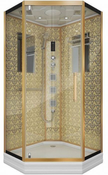 Душевая кабина Niagara Luxe NG-7717G 100x100 с гидромассажем