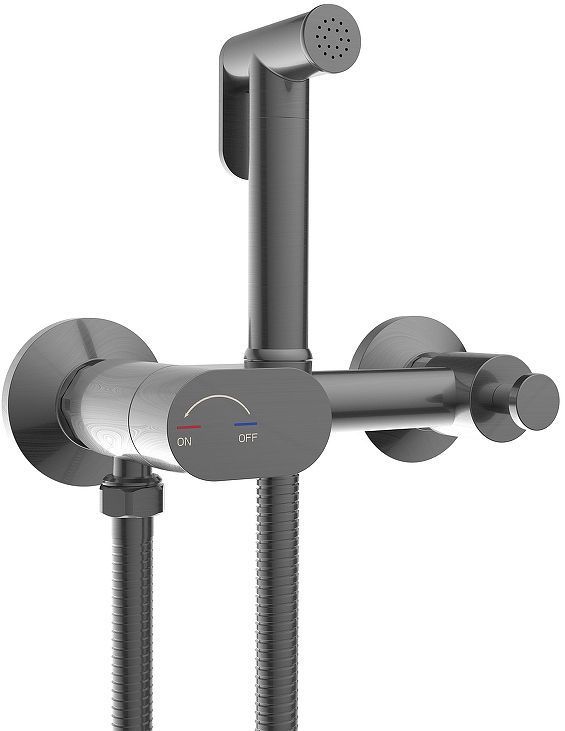 Гигиенический душ со смесителем WeltWasser Higi R02 GG 10000013662 цвет Брашированная оружейная сталь