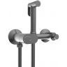 Гигиенический душ со смесителем WeltWasser Higi R02 GG 10000013662 цвет Брашированная оружейная сталь