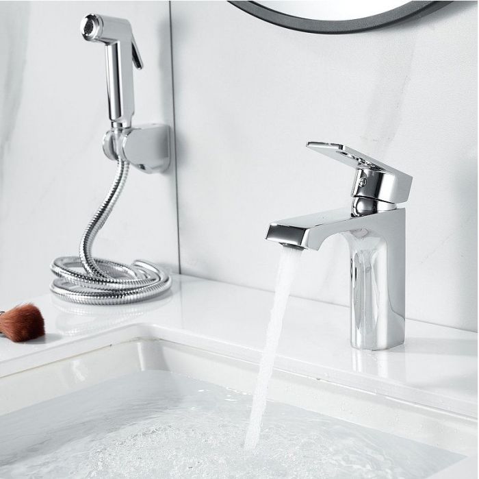 Смеситель для раковины Raffine F171 с гигиеническим душем цвет Хром