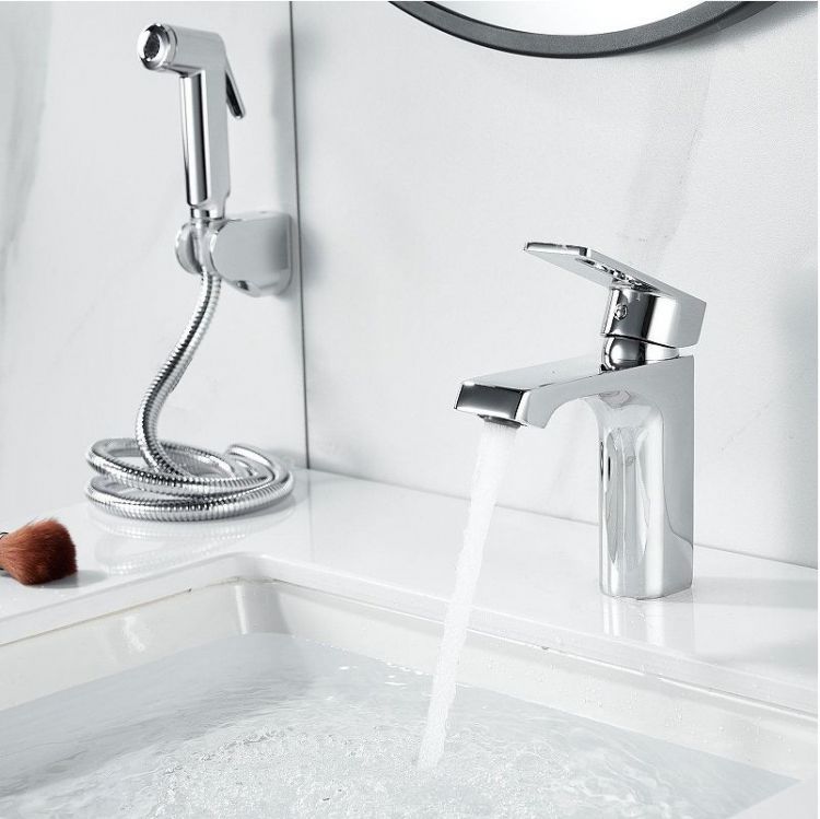 Смеситель для раковины Raffine F171 с гигиеническим душем цвет Хром