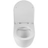 Унитаз BelBagno Sfera-R BB046CHR/BB902SC подвесной с сиденьем Микролифт Унитаз BelBagno Sfera-R BB046CHR/BB902SC подвесной с сиденьем Микролифт