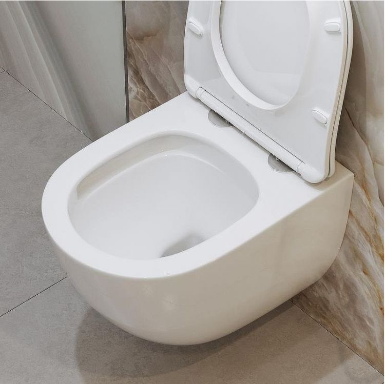 Унитаз BelBagno Amanda-Tor BB051CH-TOR-FC/BB051SC подвесной с сиденьем Микролифт