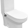 Унитаз биде Azario Brusco AZ-1085B с бачком и сиденьем Микролифт