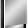 Зеркальный шкаф Reflexion Box 500х800 RF2419BL с подсветкой Черный матовый Зеркальный шкаф Reflexion Box 500х800 RF2419BL с подсветкой Черный матовый
